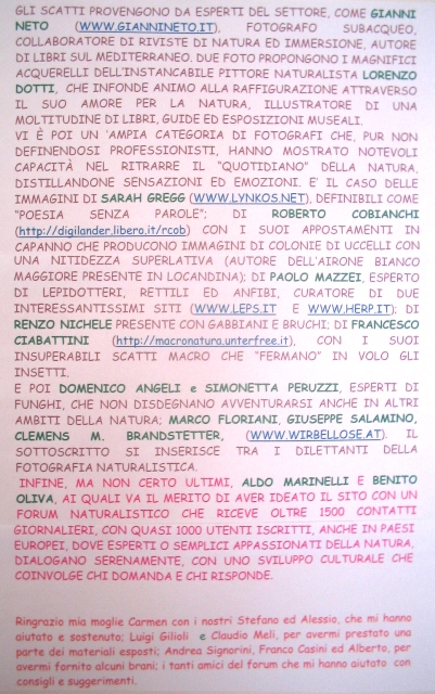 Le foto del parco in festa